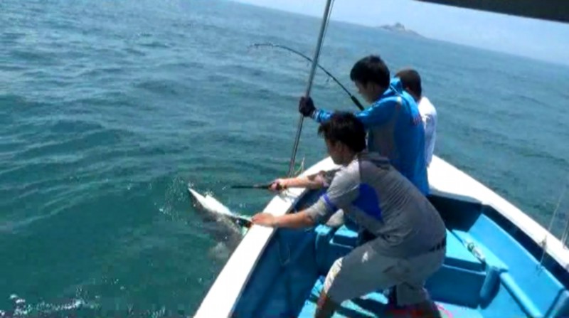 TICA's Fishing Reels catch 200 kg big shark – Tica Fishing Tackle