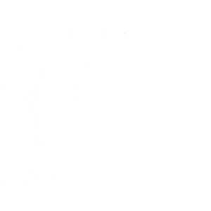 dual-drag-system