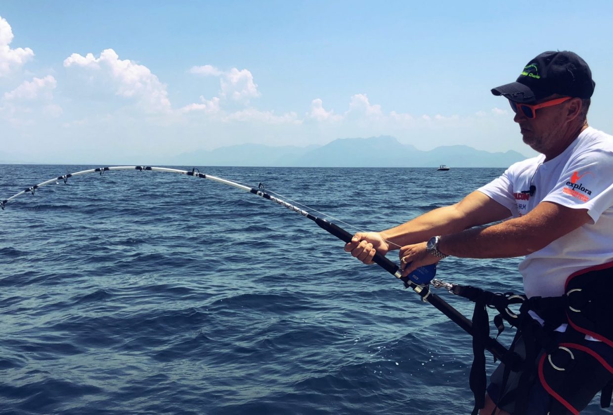 saltwater reels – Tica Fishing Tackle