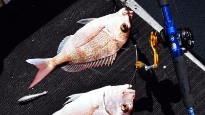 2-tica-victor-tya5-jigging-reel
