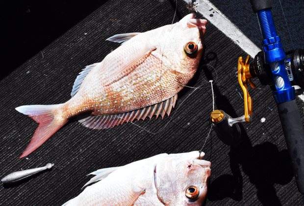 2-tica-victor-tya5-jigging-reel